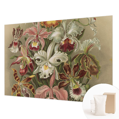 Moderní fototapeta na míru Květinová elegance