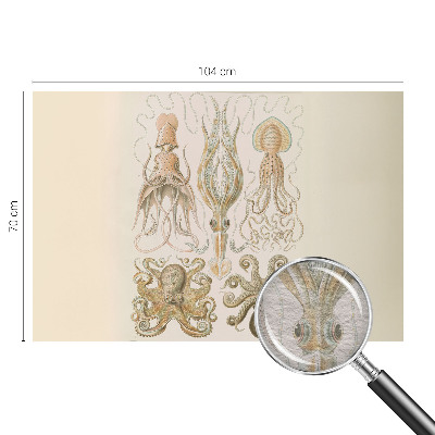 Fototapeta na míru do ložnice Mořský život