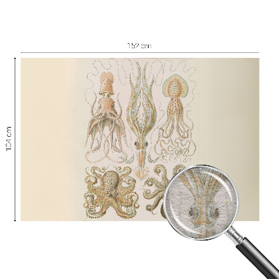 Fototapeta na míru do ložnice Mořský život