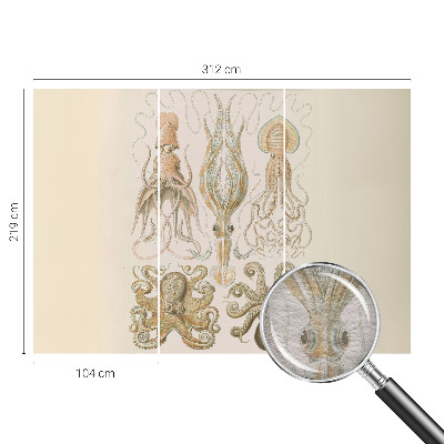 Fototapeta na míru do ložnice Mořský život