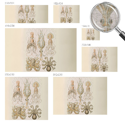 Fototapeta na míru do ložnice Mořský život