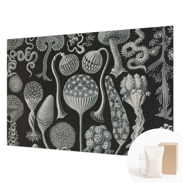 3D fototapeta Magické rostliny