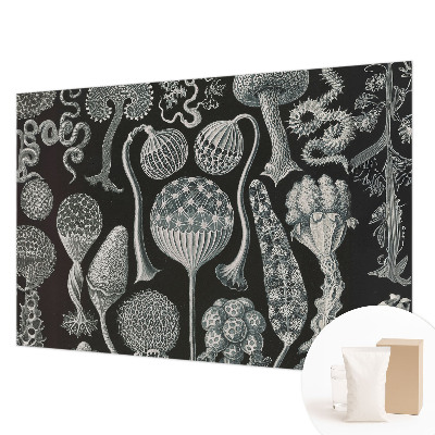 3D fototapeta Magické rostliny