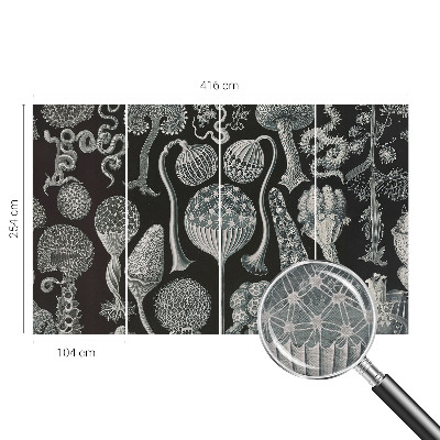 3D fototapeta Magické rostliny