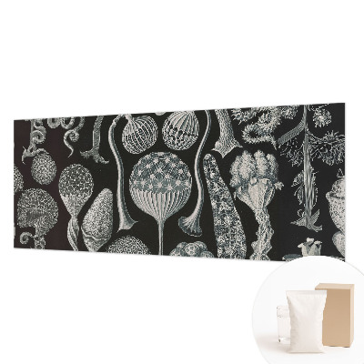 3D fototapeta Magické rostliny