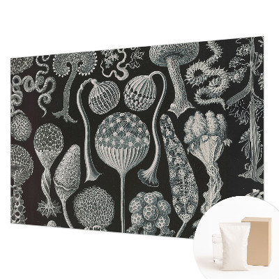 3D fototapeta Magické rostliny