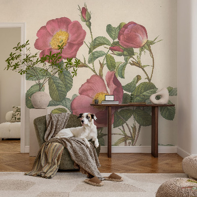 Fototapeta na stěnu Motiv růže