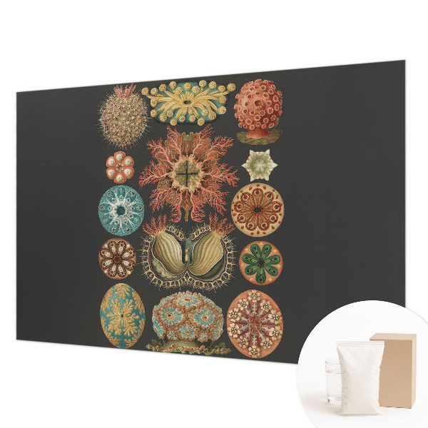 Vliesová fototapeta pro děti Mořské inspirace