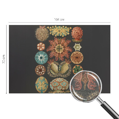 Vliesová fototapeta pro děti Mořské inspirace