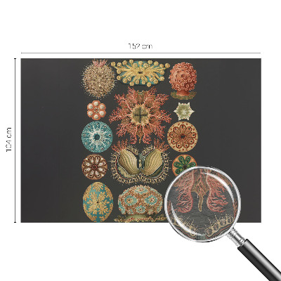 Vliesová fototapeta pro děti Mořské inspirace