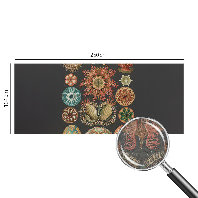 Vliesová fototapeta pro děti Mořské inspirace