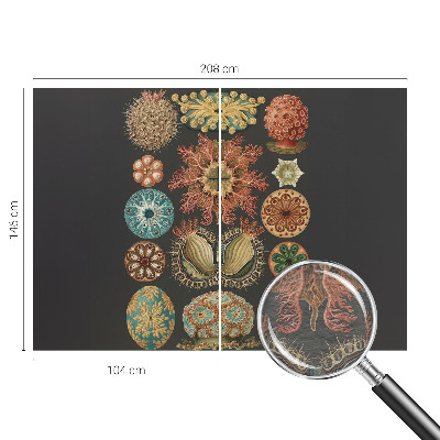 Vliesová fototapeta pro děti Mořské inspirace