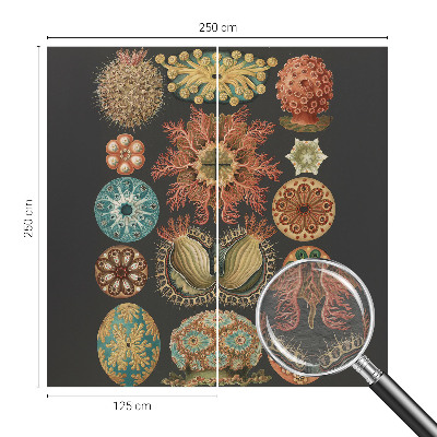 Vliesová fototapeta pro děti Mořské inspirace