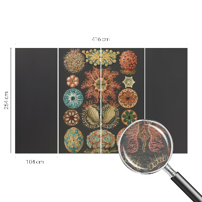 Vliesová fototapeta pro děti Mořské inspirace