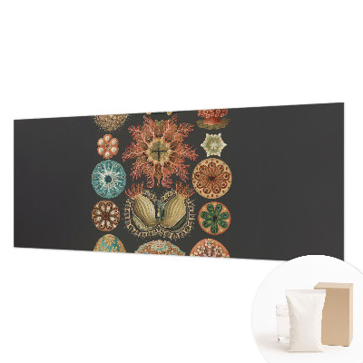 Vliesová fototapeta pro děti Mořské inspirace