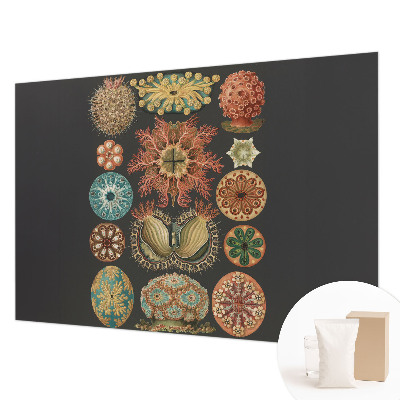 Vliesová fototapeta pro děti Mořské inspirace