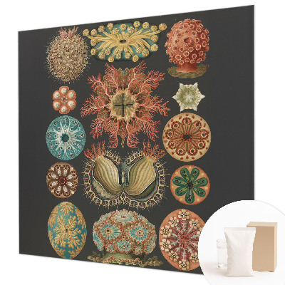 Vliesová fototapeta pro děti Mořské inspirace