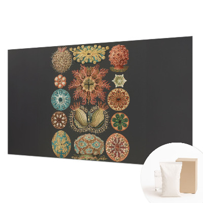 Vliesová fototapeta pro děti Mořské inspirace