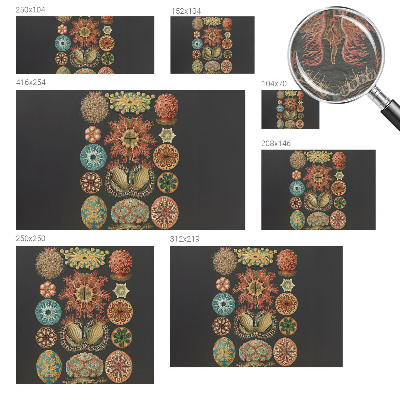 Vliesová fototapeta pro děti Mořské inspirace