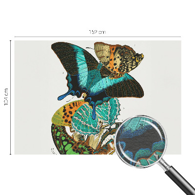 Fototapeta do obýváku Barevné motýly