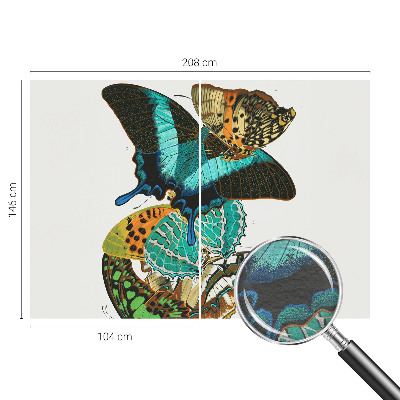 Fototapeta do obýváku Barevné motýly