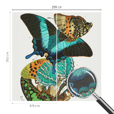 Fototapeta do obýváku Barevné motýly