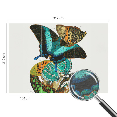 Fototapeta do obýváku Barevné motýly