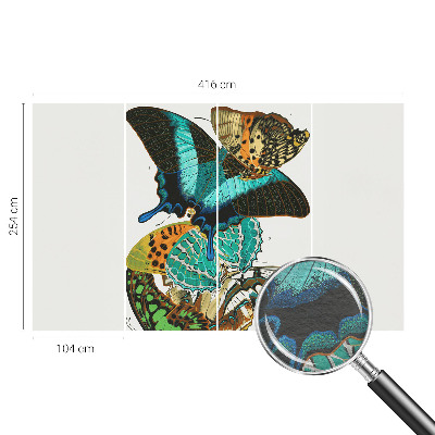 Fototapeta do obýváku Barevné motýly