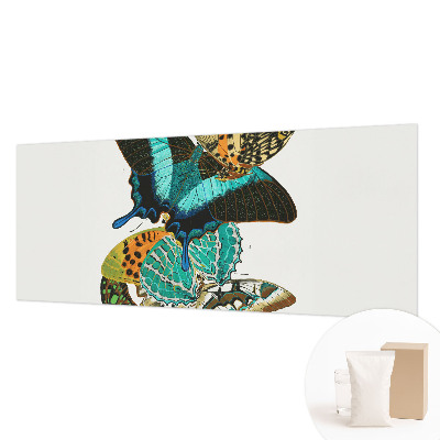 Fototapeta do obýváku Barevné motýly