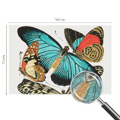 Fototapeta do ložnice Barevné motýly