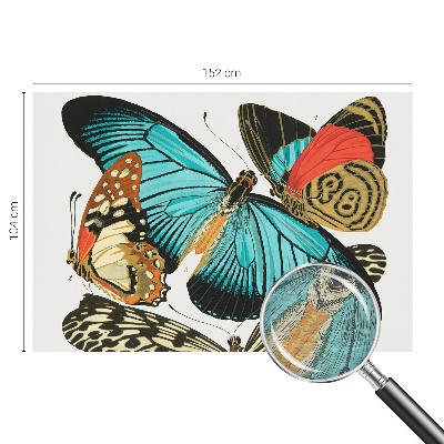 Fototapeta do ložnice Barevné motýly