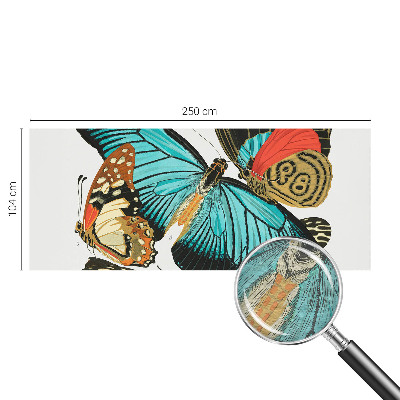 Fototapeta do ložnice Barevné motýly