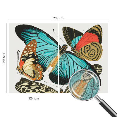 Fototapeta do ložnice Barevné motýly