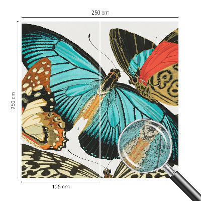 Fototapeta do ložnice Barevné motýly