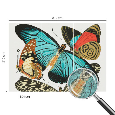 Fototapeta do ložnice Barevné motýly