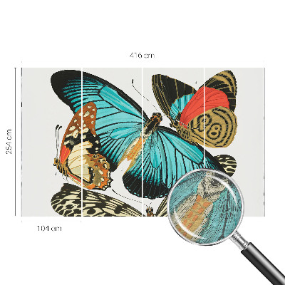 Fototapeta do ložnice Barevné motýly