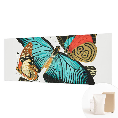 Fototapeta do ložnice Barevné motýly