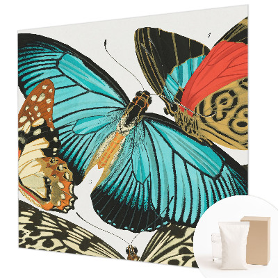 Fototapeta do ložnice Barevné motýly