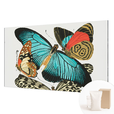 Fototapeta do ložnice Barevné motýly