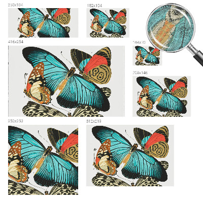 Fototapeta do ložnice Barevné motýly