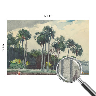 Vliesová fototapeta pro děti Exotické palmy