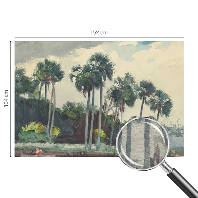 Vliesová fototapeta pro děti Exotické palmy