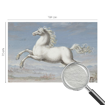 Dekorativní fototapeta na zeď Koně ve skoku