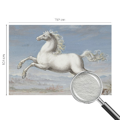 Dekorativní fototapeta na zeď Koně ve skoku