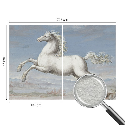 Dekorativní fototapeta na zeď Koně ve skoku