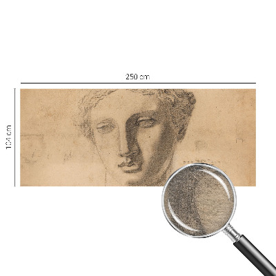 Fototapeta do obýváku Ženský portrét