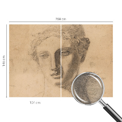 Fototapeta do obýváku Ženský portrét