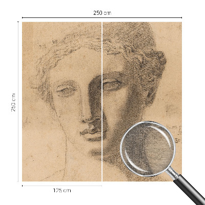 Fototapeta do obýváku Ženský portrét