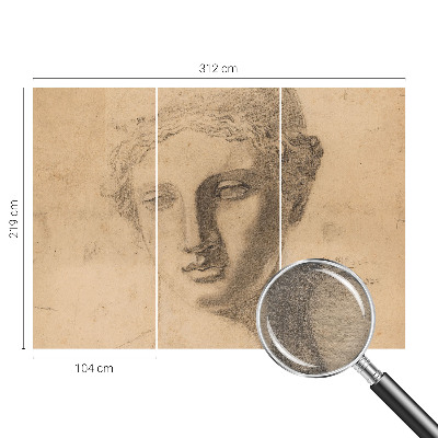 Fototapeta do obýváku Ženský portrét