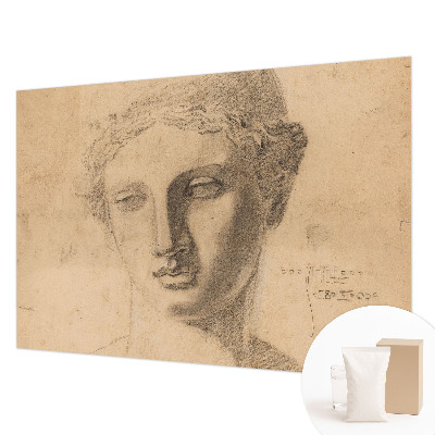 Fototapeta do obýváku Ženský portrét